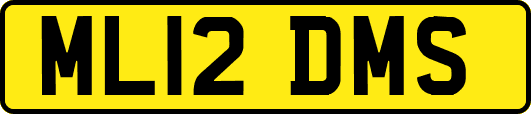ML12DMS