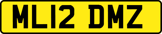 ML12DMZ