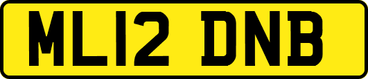 ML12DNB