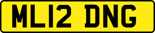 ML12DNG