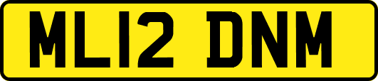 ML12DNM