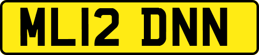 ML12DNN