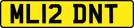 ML12DNT