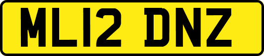 ML12DNZ
