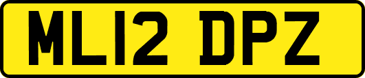 ML12DPZ