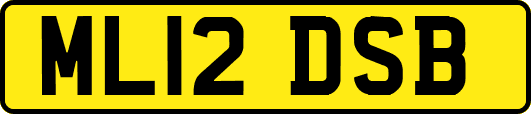 ML12DSB
