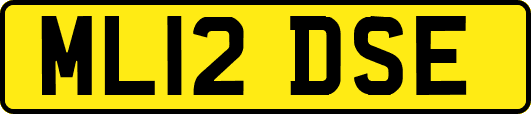 ML12DSE