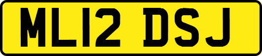 ML12DSJ