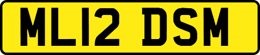 ML12DSM
