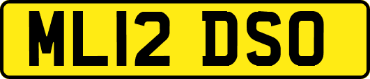 ML12DSO
