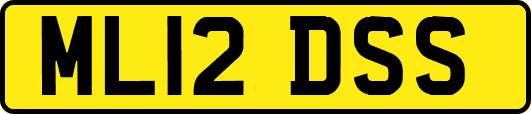 ML12DSS