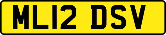 ML12DSV