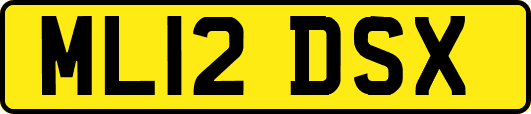 ML12DSX