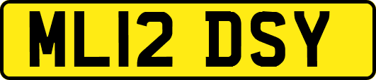 ML12DSY