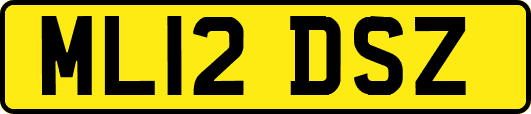 ML12DSZ