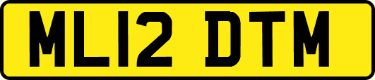 ML12DTM