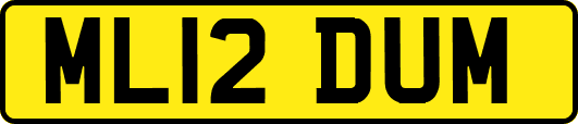 ML12DUM