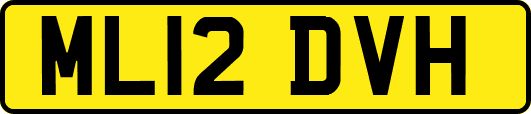 ML12DVH
