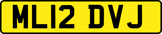 ML12DVJ