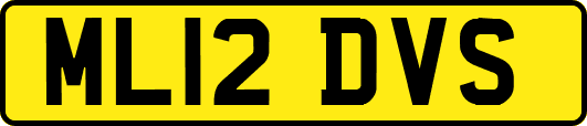 ML12DVS