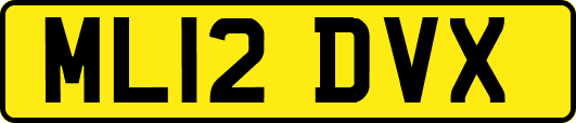 ML12DVX