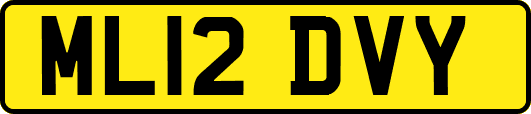 ML12DVY