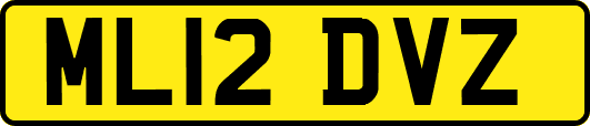 ML12DVZ