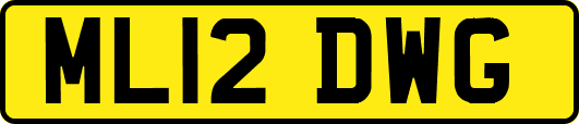 ML12DWG