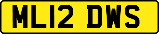 ML12DWS