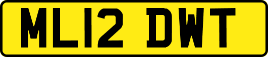 ML12DWT