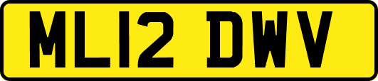 ML12DWV