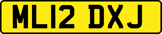 ML12DXJ