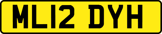 ML12DYH
