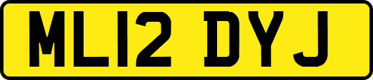 ML12DYJ