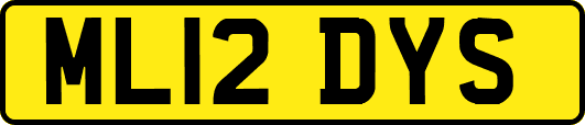ML12DYS