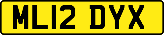ML12DYX