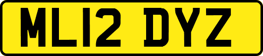 ML12DYZ