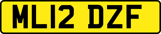 ML12DZF