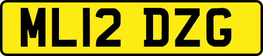 ML12DZG