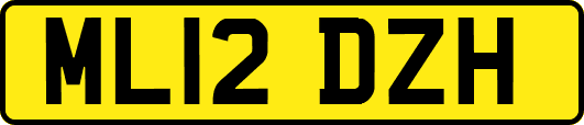 ML12DZH