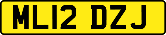 ML12DZJ