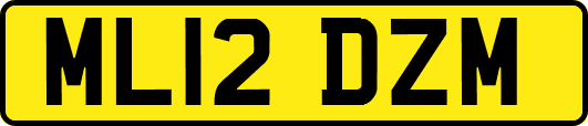 ML12DZM