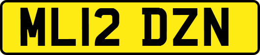 ML12DZN