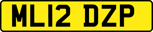 ML12DZP