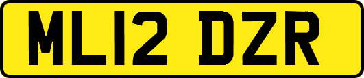 ML12DZR