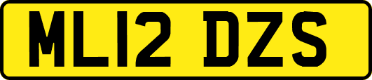 ML12DZS