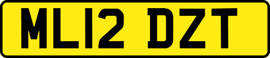 ML12DZT