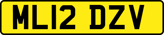 ML12DZV