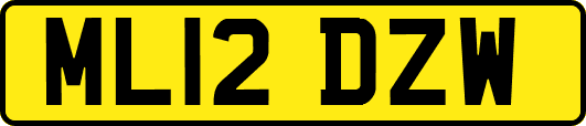 ML12DZW