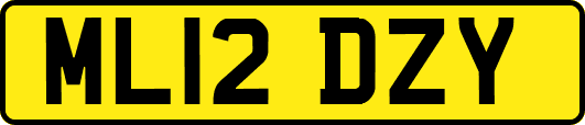 ML12DZY